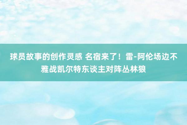 球员故事的创作灵感 名宿来了！雷-阿伦场边不雅战凯尔特东谈主对阵丛林狼