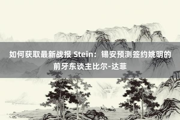 如何获取最新战报 Stein：锡安预测签约姚明的前牙东谈主比尔-达菲