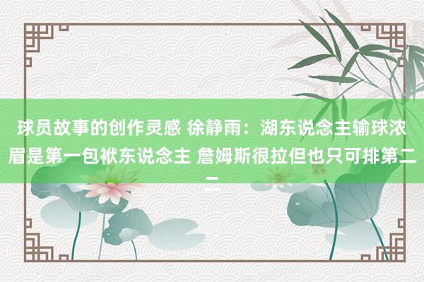 球员故事的创作灵感 徐静雨：湖东说念主输球浓眉是第一包袱东说念主 詹姆斯很拉但也只可排第二