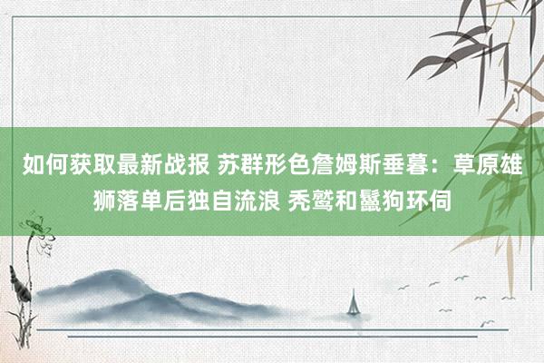 如何获取最新战报 苏群形色詹姆斯垂暮：草原雄狮落单后独自流浪 秃鹫和鬣狗环伺