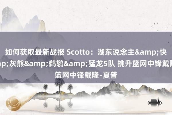 如何获取最新战报 Scotto：湖东说念主&快船&灰熊&鹈鹕&猛龙5队 挑升篮网中锋戴隆-夏普